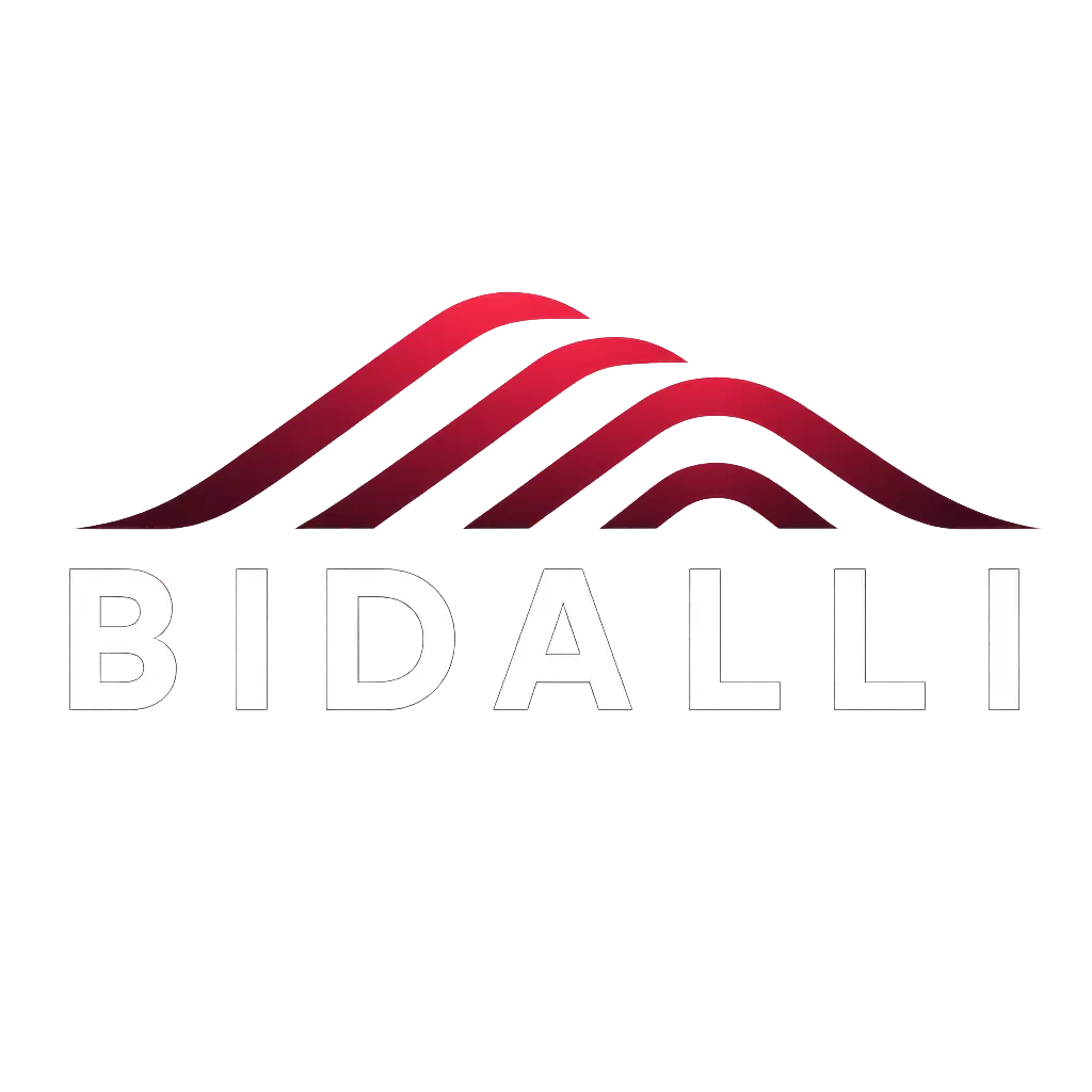 BIDALLI Software Team